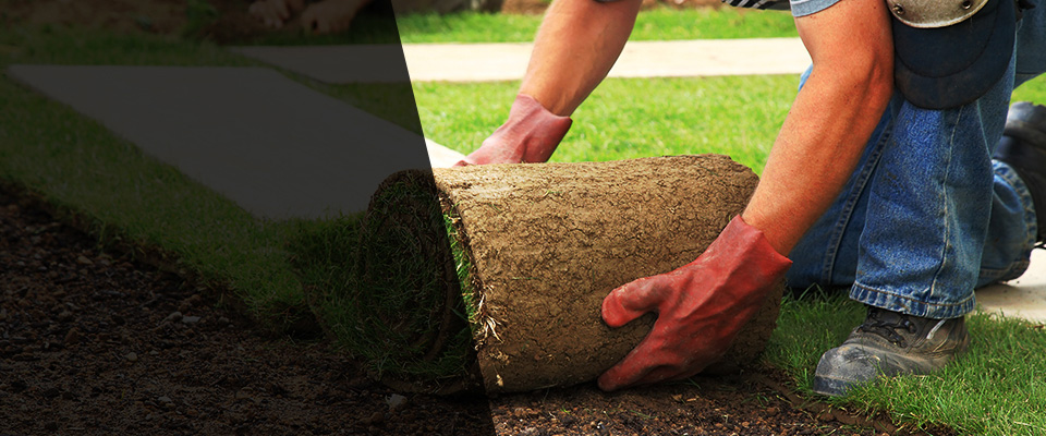 Yorkville Landscapers